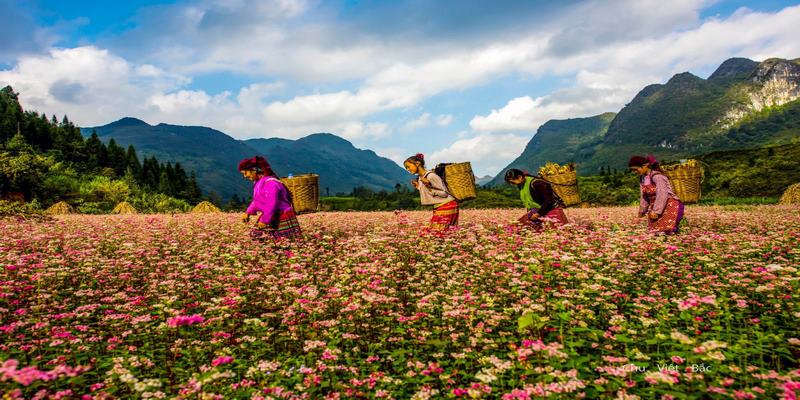 Mỗi thời điểm trong năm Hà Giang lại mang nét đẹp riêng