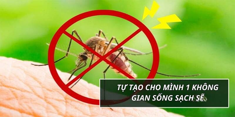 Loại bỏ côn trùng giúp môi trường sống được đảm bảo