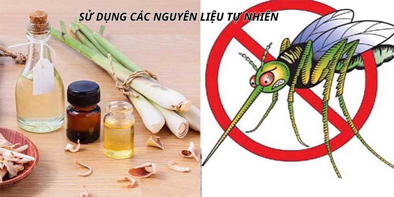 Đuổi muỗi, diệt muỗi theo cách thiên nhiên rất đơn giản