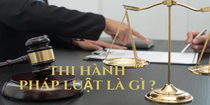 Thi hành pháp luật là gì