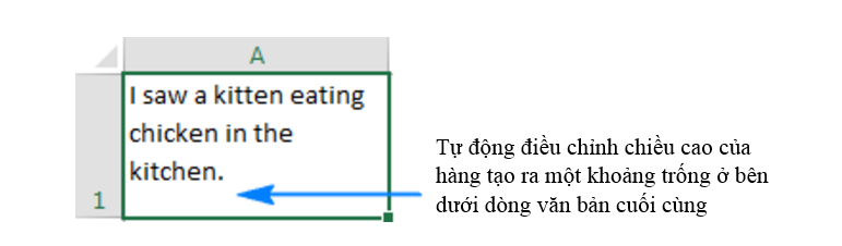 Loi-excel-autofit-khong-hoat-dong