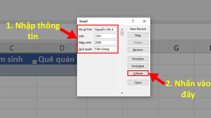 Chọn Criteria để áp dụng vào file Excel