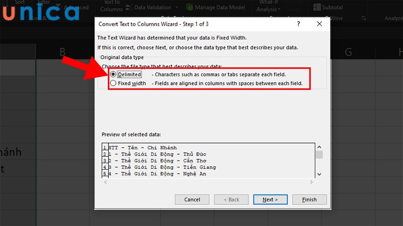 Xuất hiện cửa sổ Convert Text to Columns Wizard