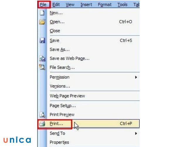 Chọn File trên thanh công cụ > Chọn Print