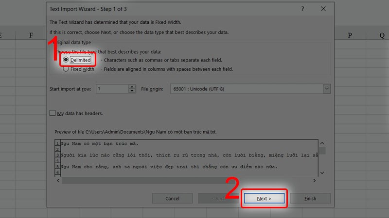 Tích vào mục Delimited và nhấn Next