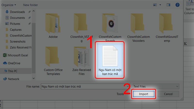 Chọn File Plain Text vừa lưu xong nhấn Import