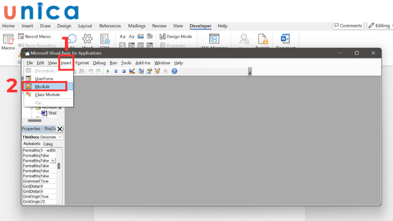 Chọn Insert và Module để mở cửa sổ nhập