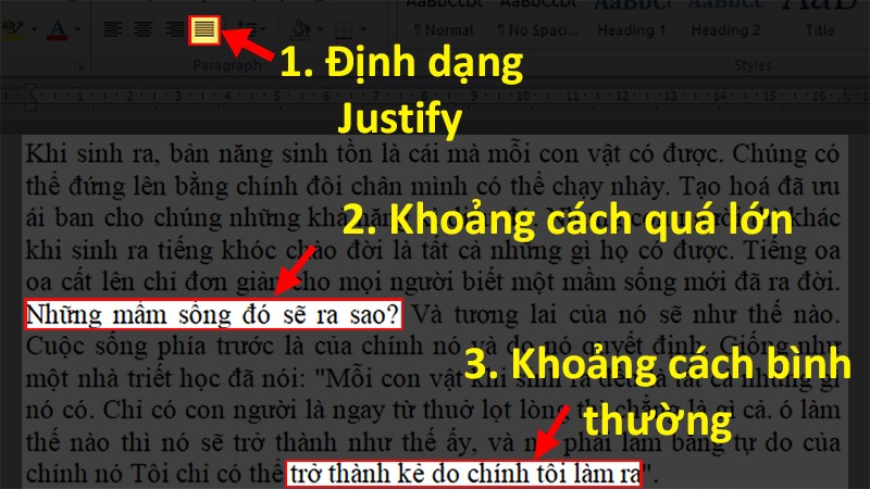 Tùy chọn định dạng