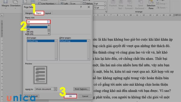 Chọn khổ giấy và nhấn OK