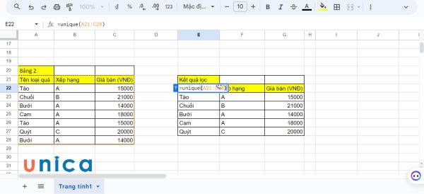 Nhập công thức unique vào ô E22