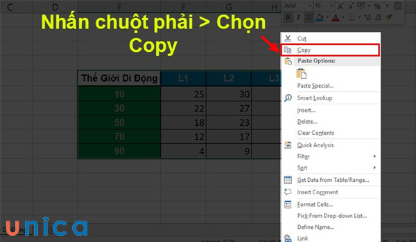 Chọn copy