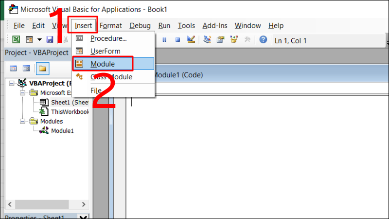 Nhấn chọn Module trong mục Insert
