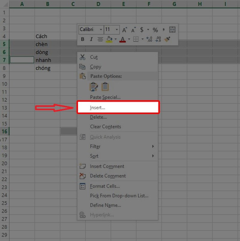 Nhấp chuột phải vào trong vùng chọn và chọn Insert từ danh sách