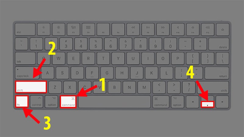 Nhấn tổ hợp phím Command + Shift + Fn + mũi tên xuống (Để chuyển sang Sheet bên phải)