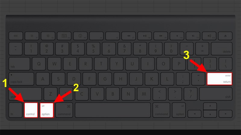 Nhấn tổ hợp phím Control + Option + Enter