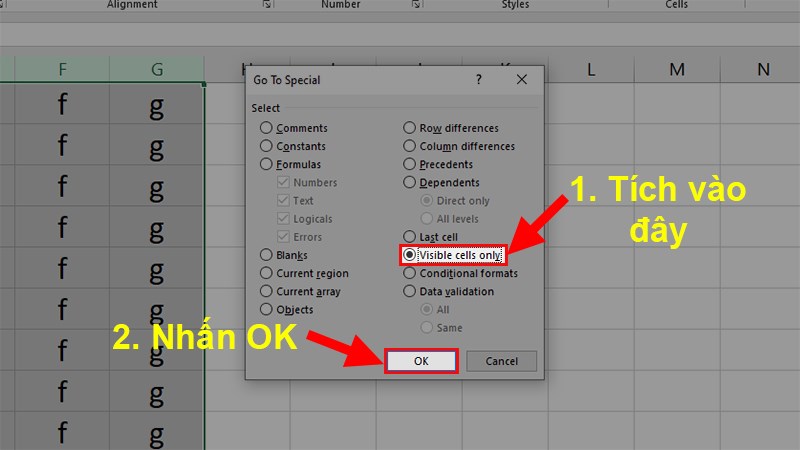 Tích chọn Visible cell onlys > Nhấn OK