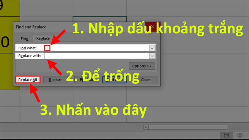 Ở phần Find what nhập dấu khoảng trắng (nút space trên bàn phím) 