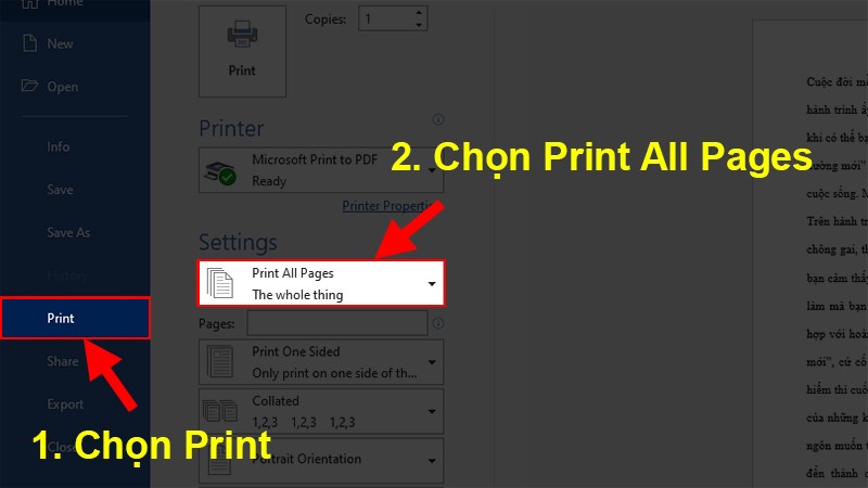 Nhấn vào Print All Pages