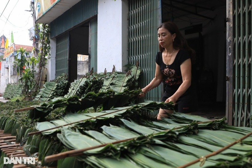 Lá tre sai khi thu hoạch sẽ được phân loại. Ảnh: Dân trí