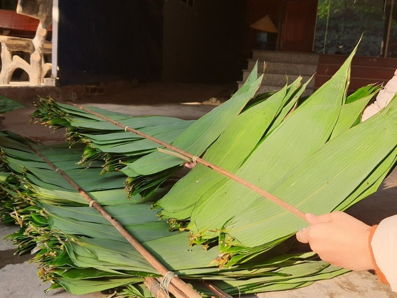 Lá tre tươi được nẹp trước khi cho vào lò sấy khô để giữ hình dạng phẳng. Ảnh: VnExpress