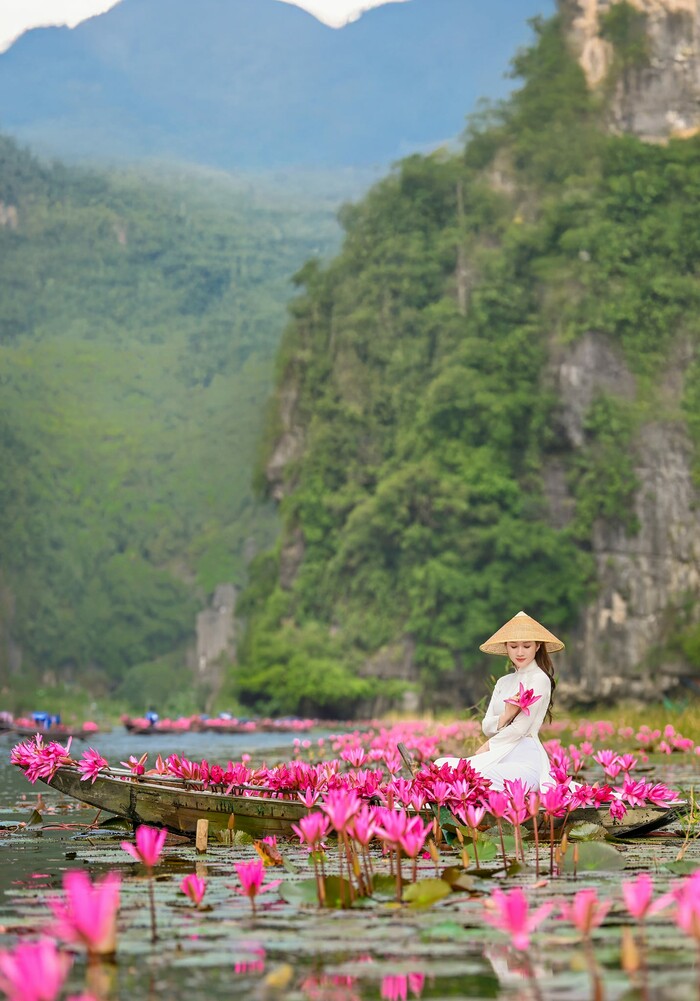 Cuối năm đi du lịch ở đâu đẹp? Mùa hoa súng Tam Cốc 