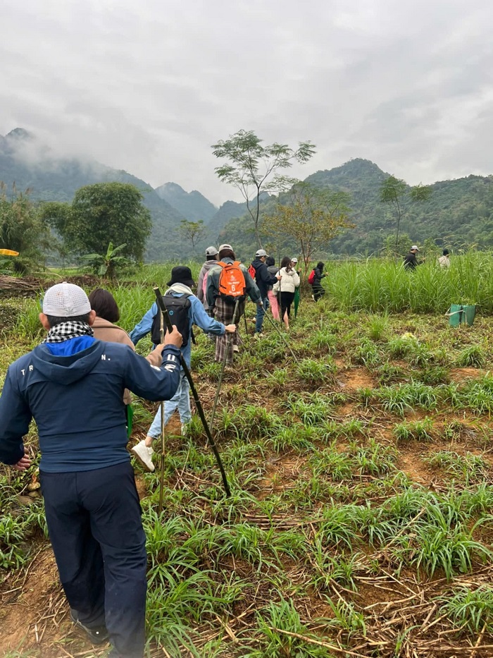 Cung đường trekking ở Thanh Hoá mới lạ khi kết hợp cung đường đỉnh Pù Hu và Cây Di Sản Chò Xanh