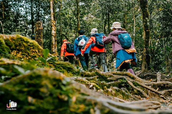 Trekking Fansipan là cung đường trekking đẹp nổi tiếng Việt Nam