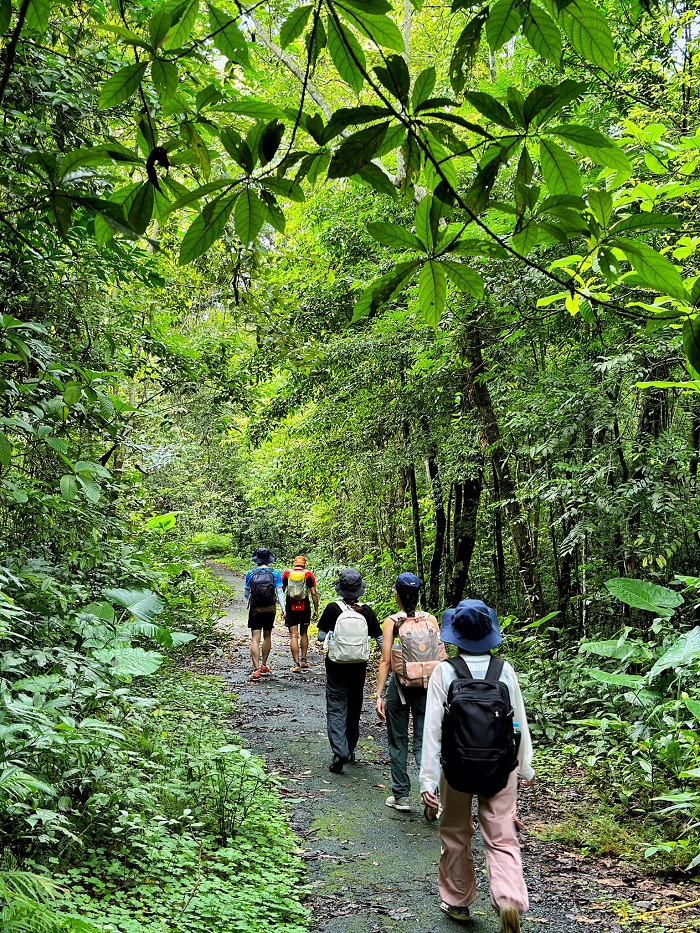 Vườn Quốc gia Cát Bà cho bạn cung đường trekking đẹp nổi tiếng Việt Nam